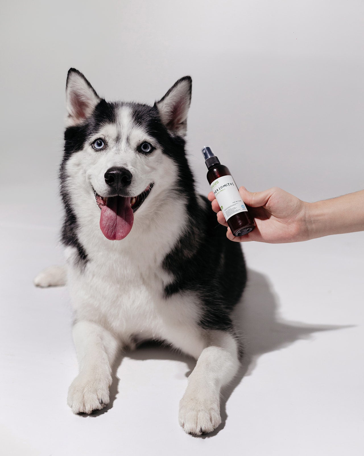 Loción para lomito (tiernos)