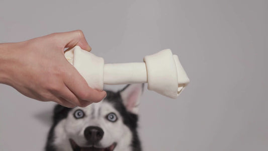 Hueso de carnaza chico